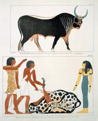 Mural from the Tombs of the Kings of Thebes, Discovered by G. Belzoni, Plate 13 from 